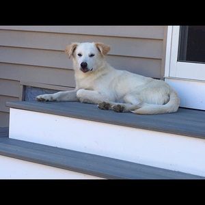 Meet your Posher, Katie